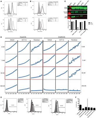 Characterization and In Vivo Validation of a Three-Dimensional Multi-Cellular Culture Model to Study Heterotypic Interactions in Colorectal Cancer Cell Growth, Invasion and Metastasis